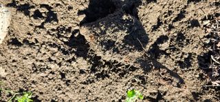 달빛소년(김광순)님의 기타작물 · 영농일지 작성글 사진