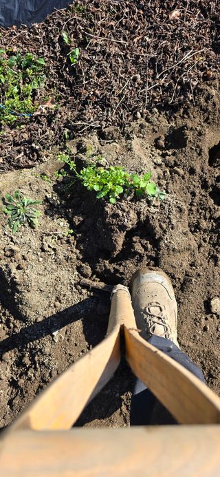 달빛소년(김광순)님의 기타작물 · 영농일지 작성글 사진