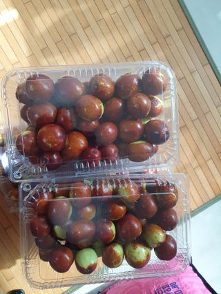 한상동님의 자유주제 · 자유게시판 작성글 사진