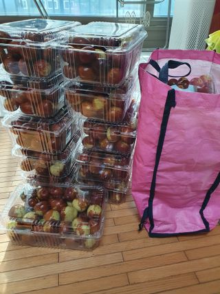 한상동님의 자유주제 · 자유게시판 작성글 사진