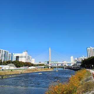 알 수 없음님의 우리동네 가을단풍 자랑하기 · 참여글 작성글 사진