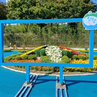 알 수 없음님의 우리동네 가을단풍 자랑하기 · 참여글 작성글 사진