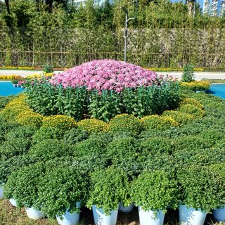 알 수 없음님의 우리동네 가을단풍 자랑하기 · 참여글 작성글 사진