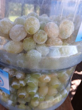 맞춤포도 드론방제님의 자유주제 · 자유게시판 작성글 사진