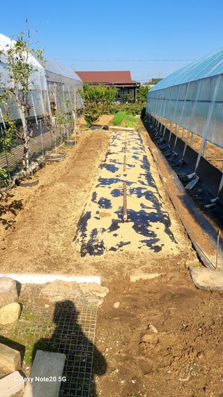 제주농부님의 마늘 · 영농일지 작성글 사진