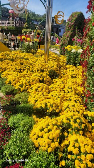 제주농부님의 마늘 · 영농일지 작성글 사진