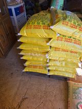 팜모닝 자유주제·자유게시판 게시글 이미지