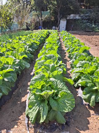문영식님의 자유주제 · 자유게시판 작성글 사진
