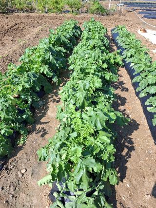 문영식님의 자유주제 · 자유게시판 작성글 사진