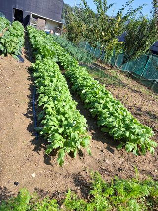 문영식님의 자유주제 · 자유게시판 작성글 사진