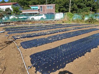 문영식님의 자유주제 · 자유게시판 작성글 사진