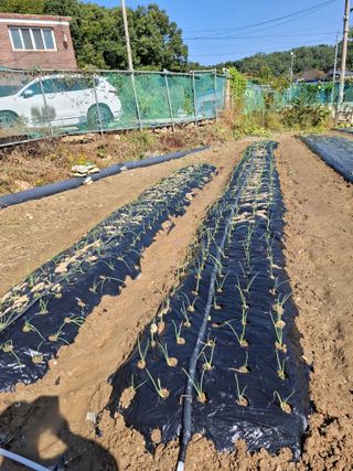 문영식님의 자유주제 · 자유게시판 작성글 사진