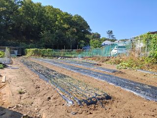 문영식님의 자유주제 · 자유게시판 작성글 사진