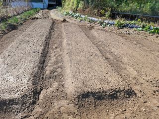 문영식님의 자유주제 · 자유게시판 작성글 사진