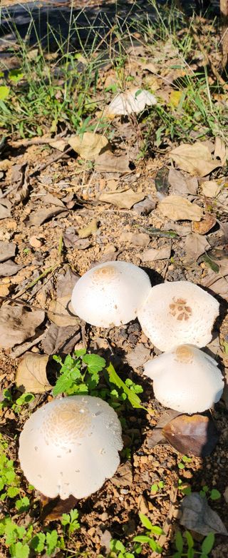 덕포킴님의 자유주제 · 자유게시판 작성글 사진