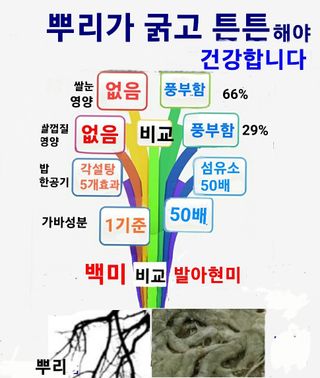 이경수님의 작성글 사진