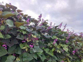 성순옥님의 자유주제 · 자유게시판 작성글 사진