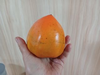 금동이네님의 자유주제 · 자유게시판 작성글 사진