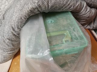 금동이네님의 자유주제 · 자유게시판 작성글 사진
