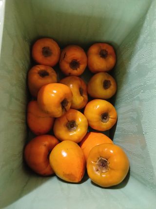 금동이네님의 자유주제 · 자유게시판 작성글 사진