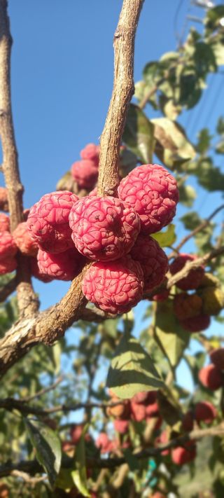 장만월님의 자유주제 · 자유게시판 작성글 사진