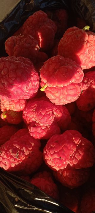 장만월님의 자유주제 · 자유게시판 작성글 사진