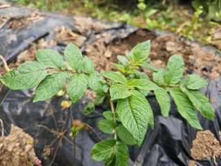 farmer님의 자유주제 · 자유게시판 작성글 사진