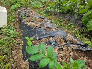 farmer님의 자유주제 · 자유게시판 작성글 사진