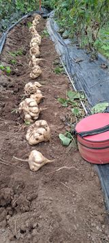 팜모닝 자유주제·자유게시판 게시글 이미지