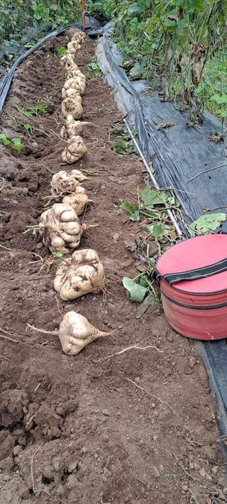 장준재님의 자유주제 · 자유게시판 작성글 사진