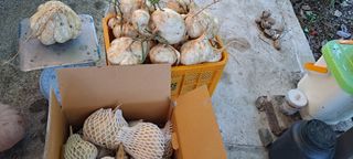 장준재님의 자유주제 · 자유게시판 작성글 사진