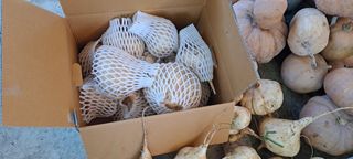 장준재님의 자유주제 · 자유게시판 작성글 사진