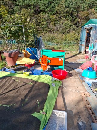 000님의 들깨 · 영농일지 작성글 사진