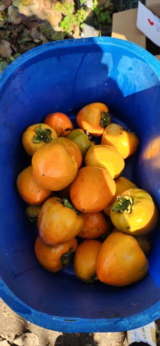 통영바닷가님의 자유주제 · 자유게시판 작성글 사진