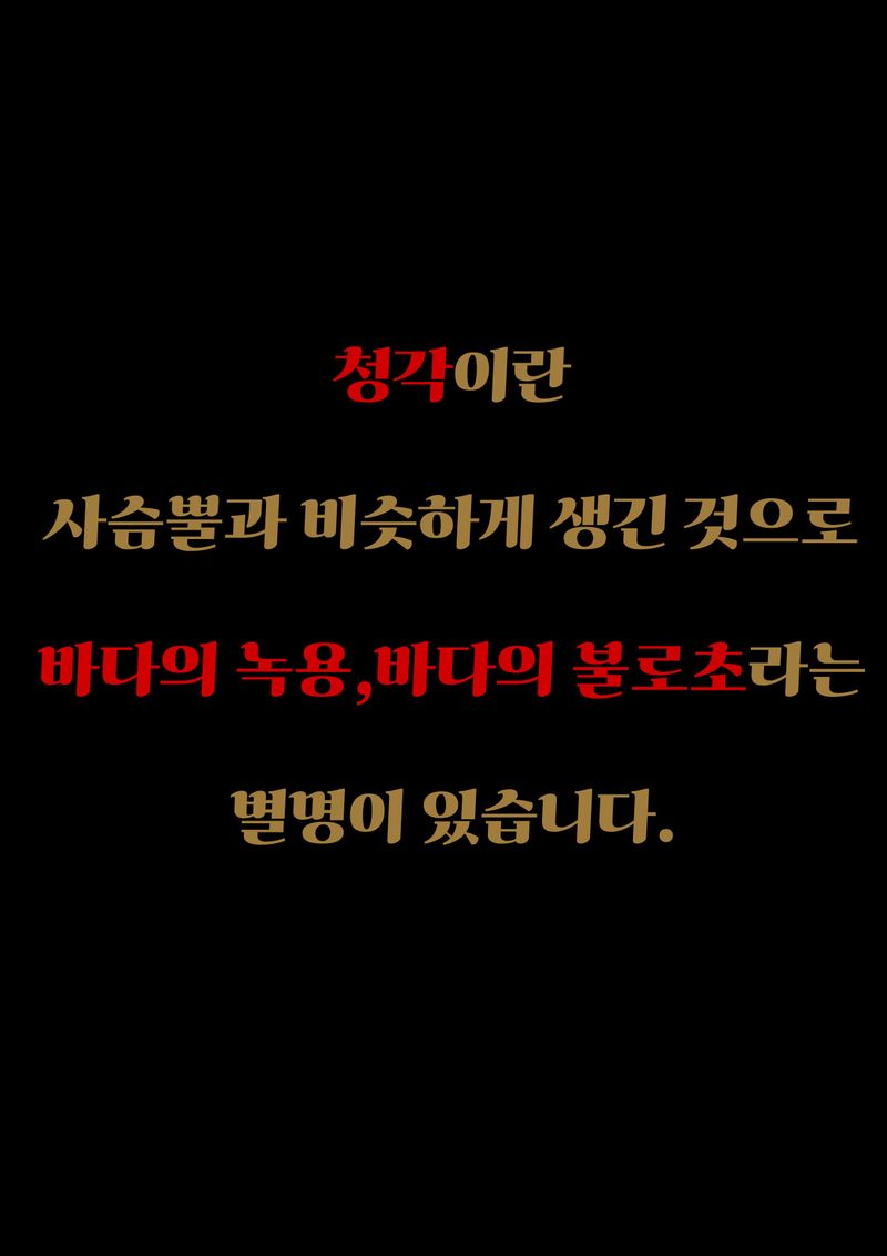 이미희님의 장터 판매 상품 [완도금일 건청각 햇청각 김장김치용 청각 직거래판매] 첨부 사진