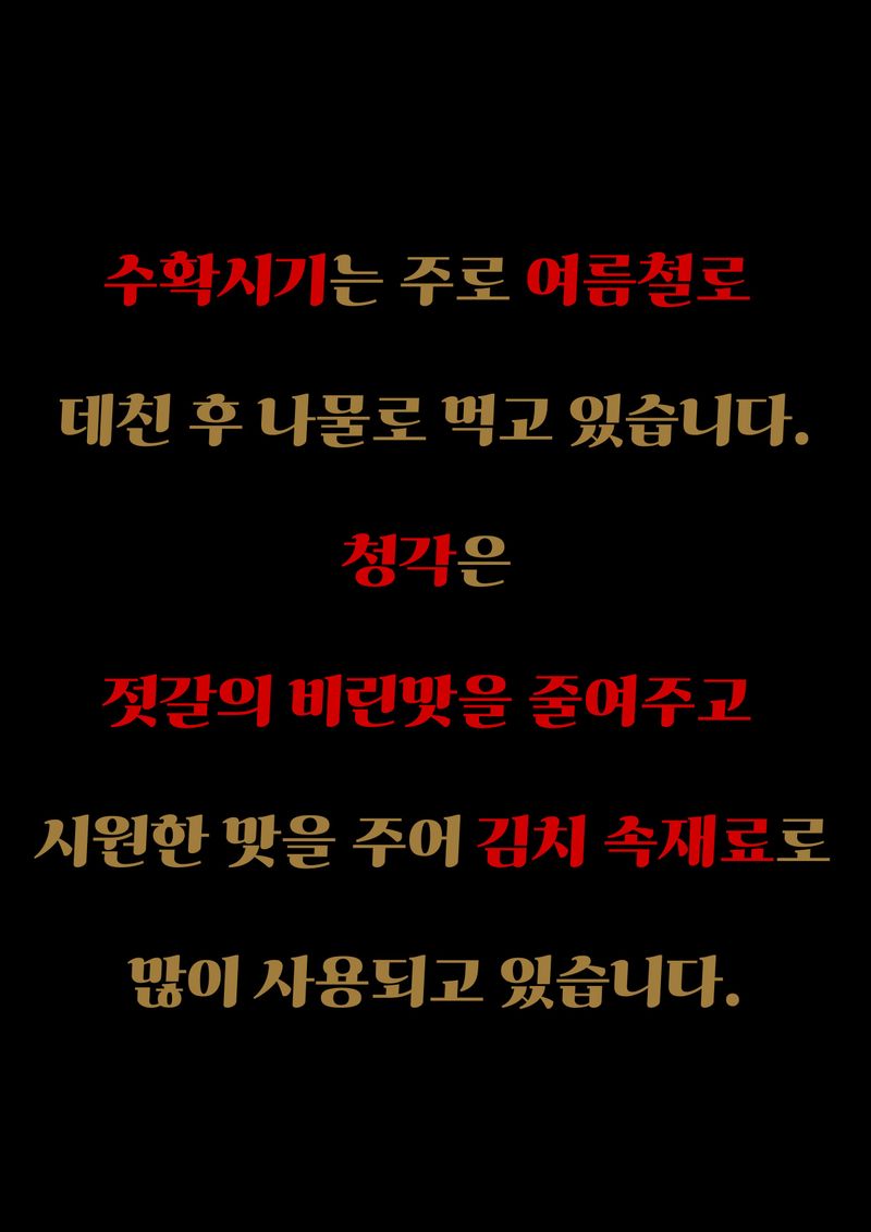 이미희님의 장터 판매 상품 [완도금일 건청각 햇청각 김장김치용 청각 직거래판매] 첨부 사진