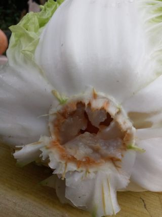 두릅나무16580님의 자유주제 · 자유게시판 작성글 사진