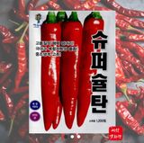 팜모닝 · 게시글 이미지