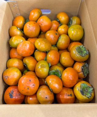 농부손녀님의 작성글 사진