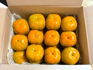 농부손녀님의 작성글 사진