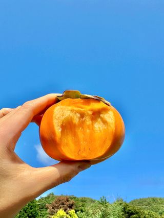 농부손녀님의 작성글 사진