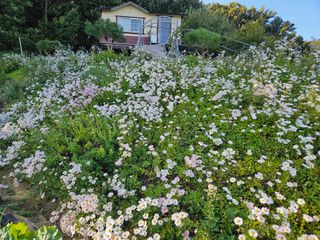 김춘연님의 작성글 사진