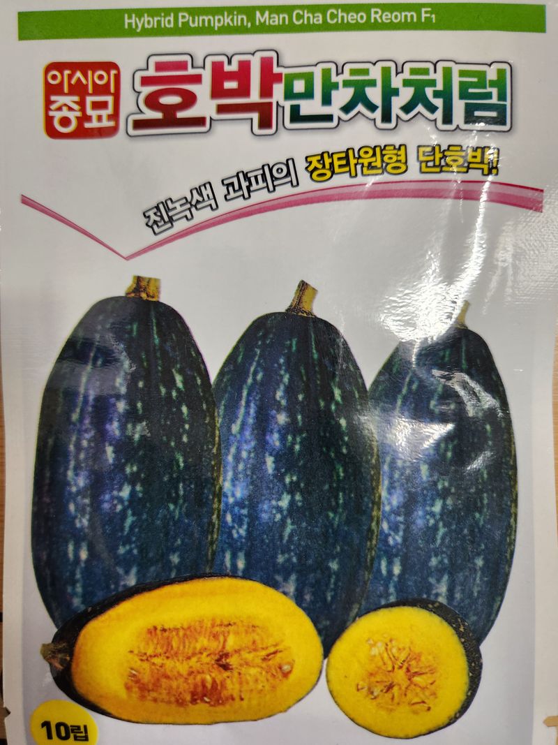 장터 상품 [만차처럼호박씨앗 10립 5봉 26년포장] 썸네일