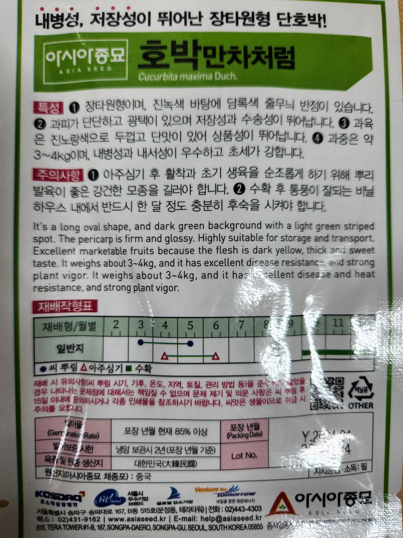 안산제일농약사님의 장터 판매 상품 [만차처럼호박씨앗 10립 5봉 26년포장] 첨부 사진