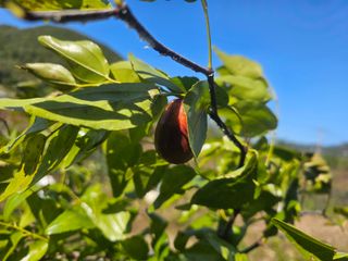 farmer님의 자유주제 · 자유게시판 작성글 사진