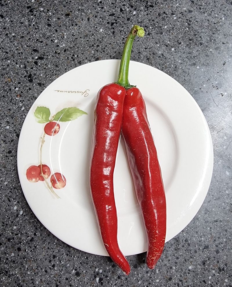 호랑이와인성이님의 장터 판매 상품 [노지  고추 가루600g] 첨부 사진