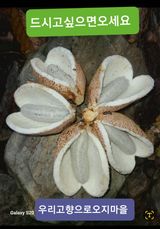 팜모닝 · 게시글 이미지