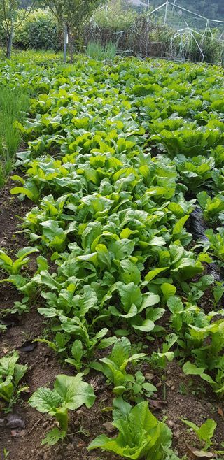 홍성호님의 작성글 사진