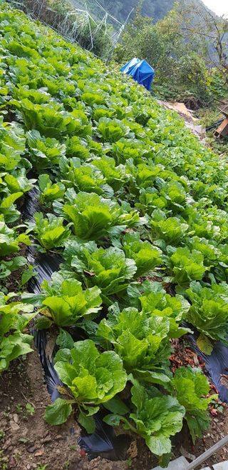 홍성호님의 작성글 사진