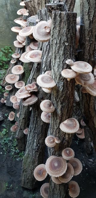 홍성호님의 작성글 사진